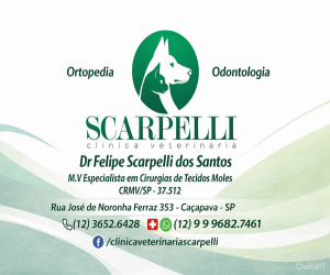 https://www.instagram.com/scarpelliveterinaria/