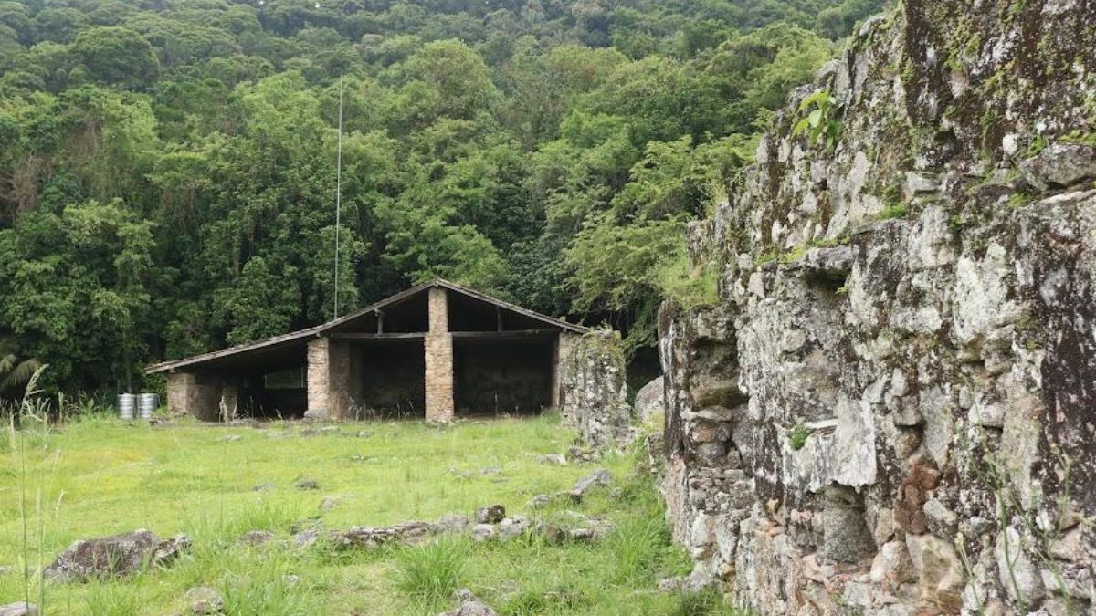 Engenho dos Erasmos: Conferência em Santos discute título de Patrimônio da Unesco