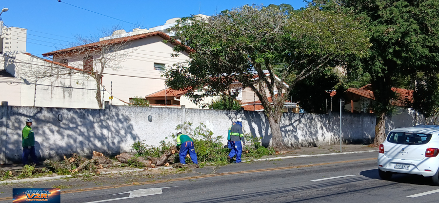 Prefeitura intensifica poda e remoção de árvores no Jardim Satélite para evitar acidentes em São José dos Campos