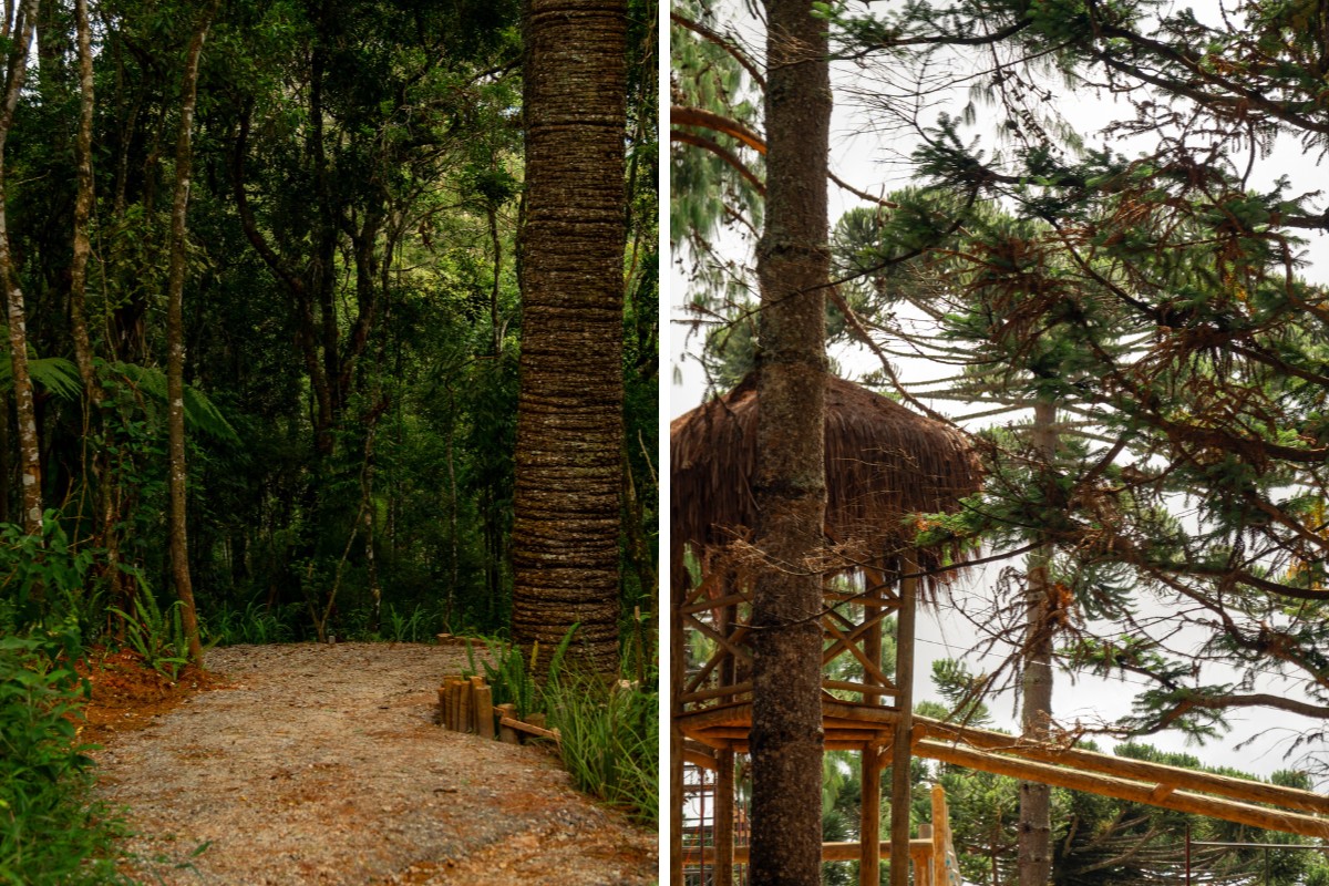 Parque de dinossauros em Campos do Jordão, com investimento de R$ 50 milhões, abre vagas de emprego
