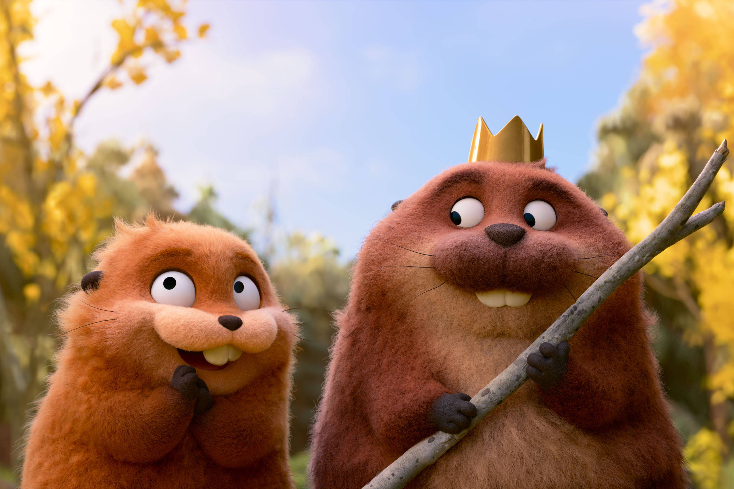 Animação da Disney 'Cara de Um, Focinho de Outro': o que ver na TV e streaming quarta