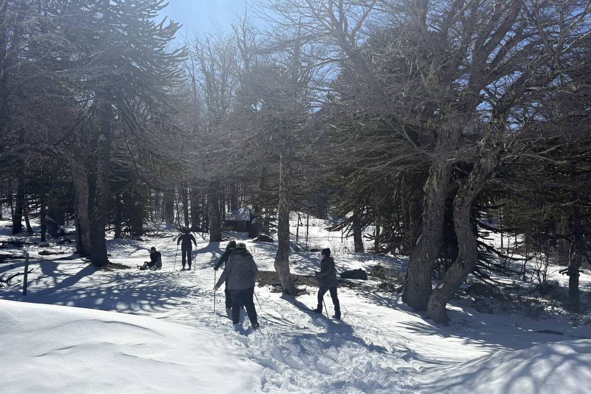 Araucanía, no Chile, convida viajantes a desacelerar em meio aos vulcões e à neve