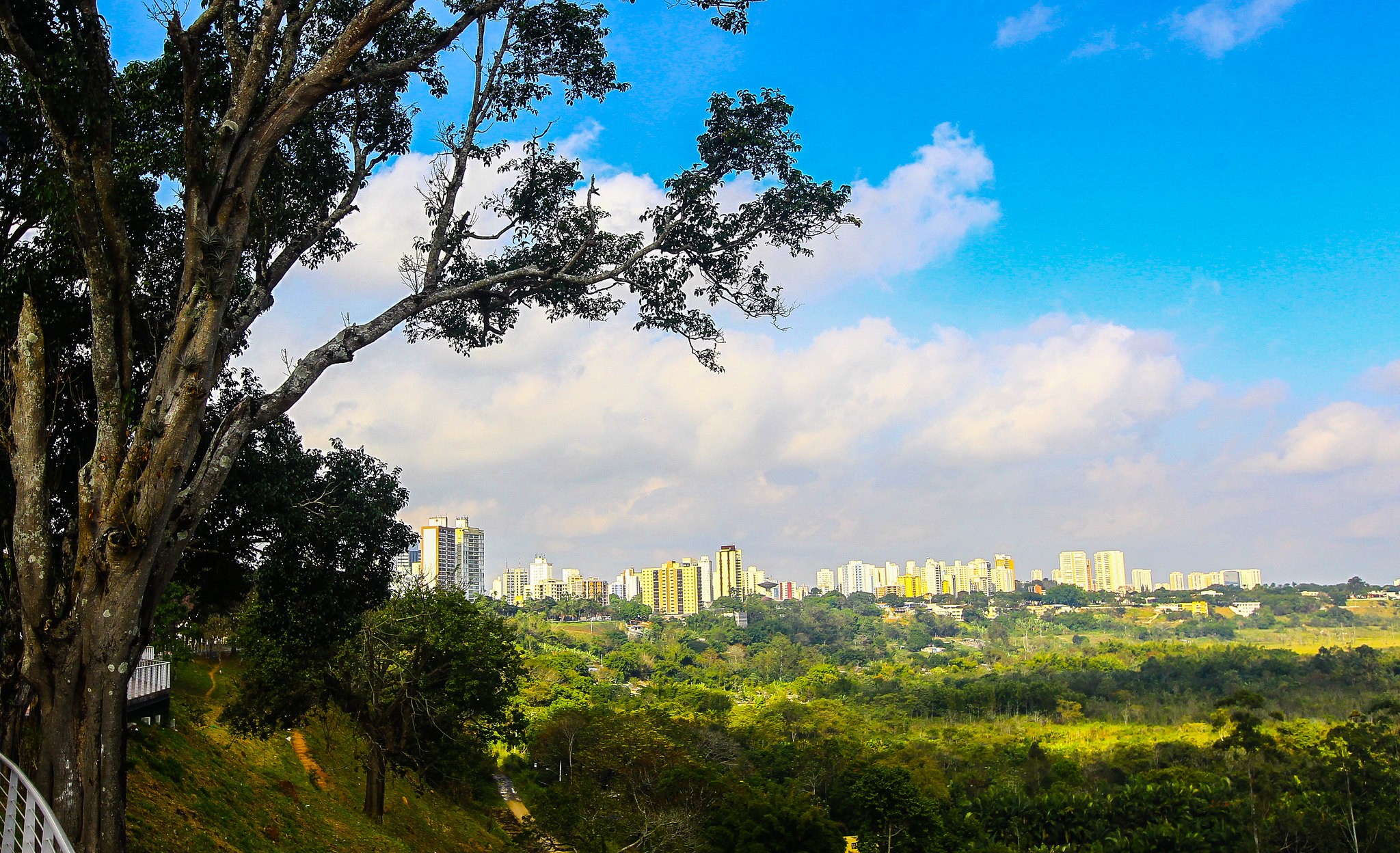 Fim de semana tem manhãs com neblina e tardes de sol no Vale do Paraíba e região; veja a previsão do tempo
