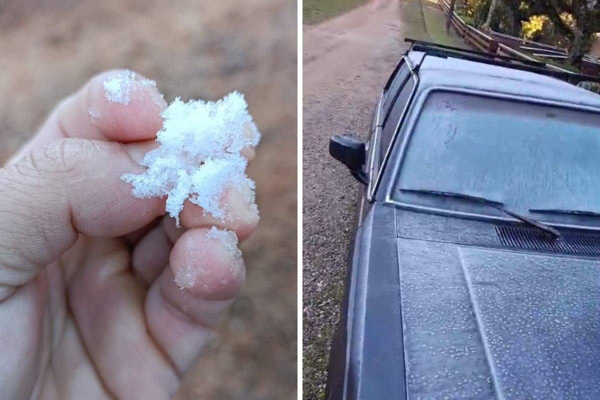 Vídeo: Com segunda menor temperatura do ano, Campos do Jordão (SP) registra geada