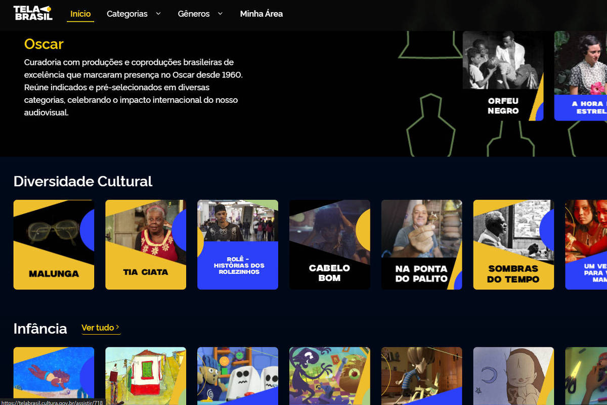 Tela Brasil deve trazer avanços ao PL do streaming, diz secretária do Audiovisual