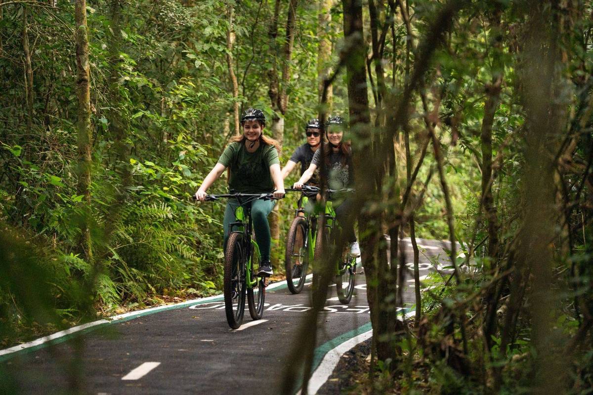 Ciclovia das Cataratas explora mata preservada no conforto do asfalto