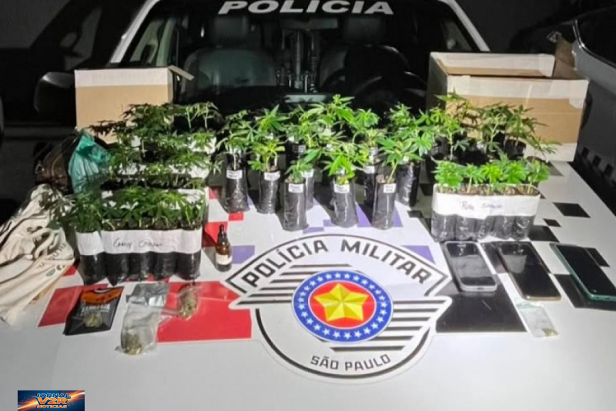 Mulher é presa após polícia encontrar 55 mudas de maconha em carro na zona norte de São José dos Campos