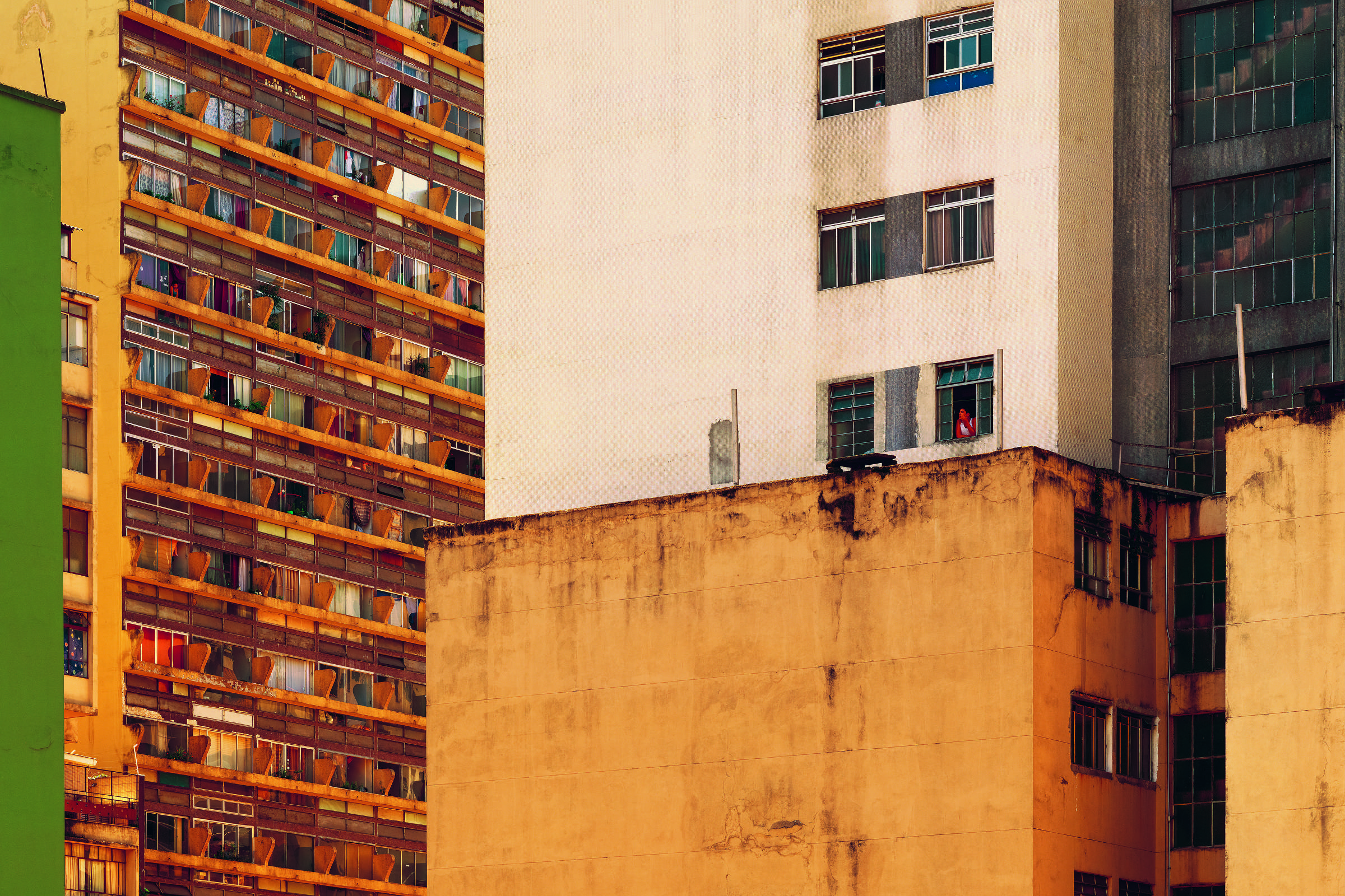Regina Dalcastagnè rearranja a paisagem da literatura brasileira