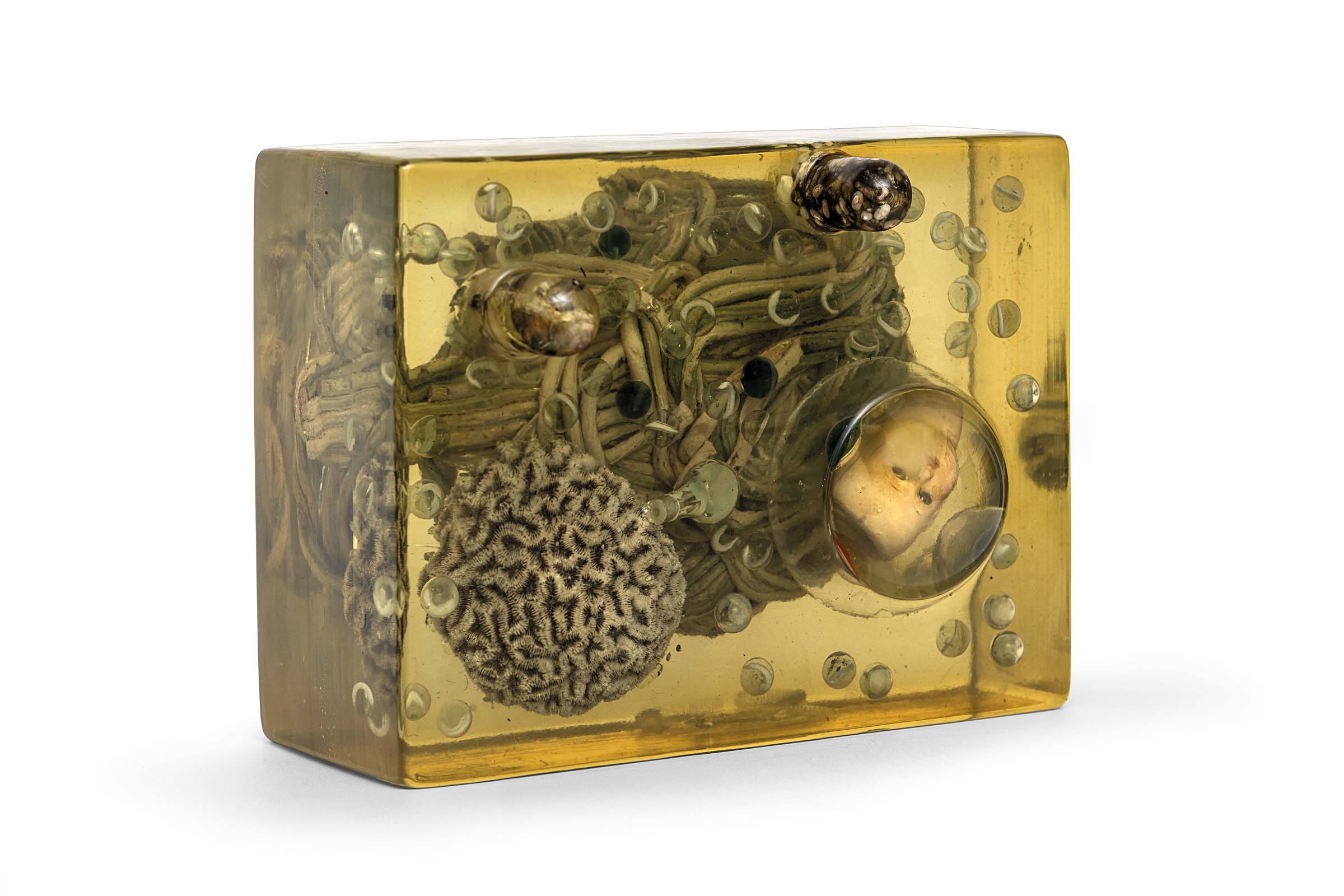 Com Salvador Dalí, Tarsila e Maria Martins, mostra vê as diversas faces do surrealismo