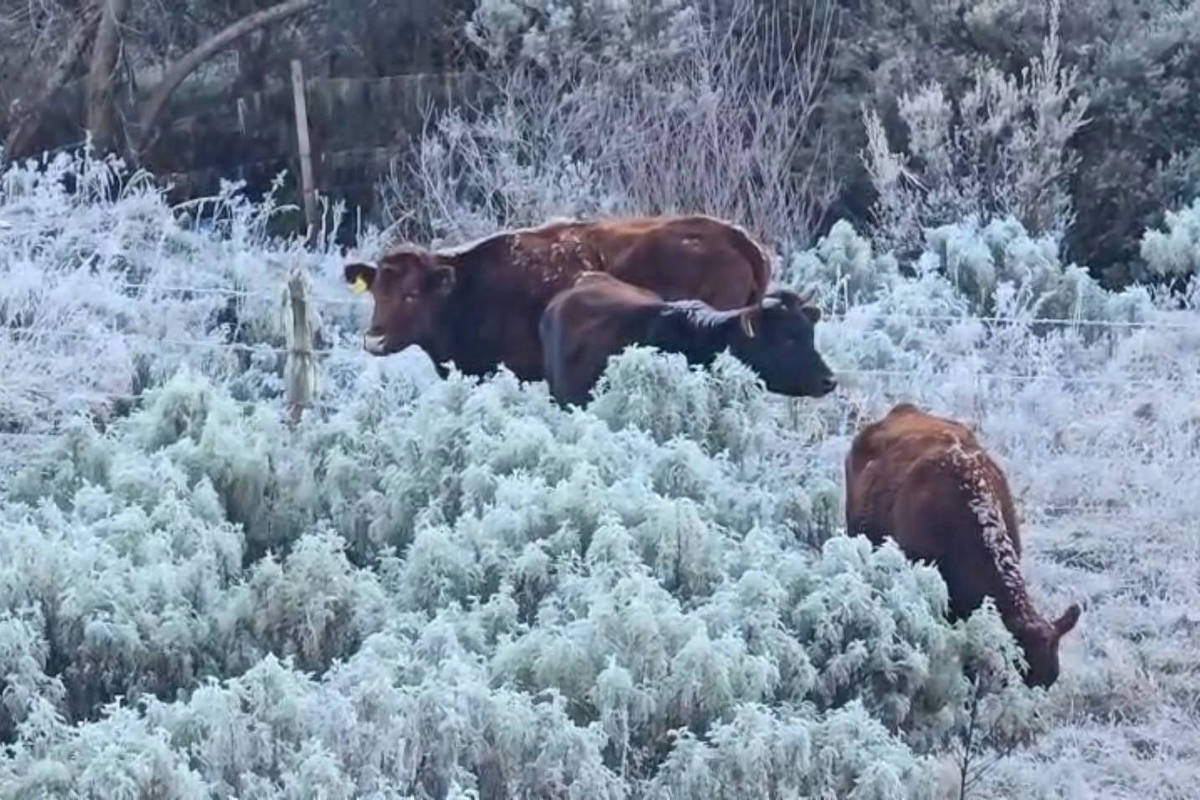 Frio nas trilhas brasileiras também exige cuidados para evitar hipotermia