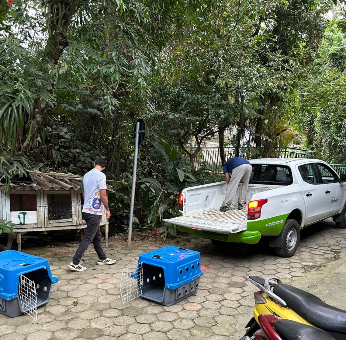 Cadelas vítimas de maus-tratos são resgatadas em Ilhabela e responsável é detida