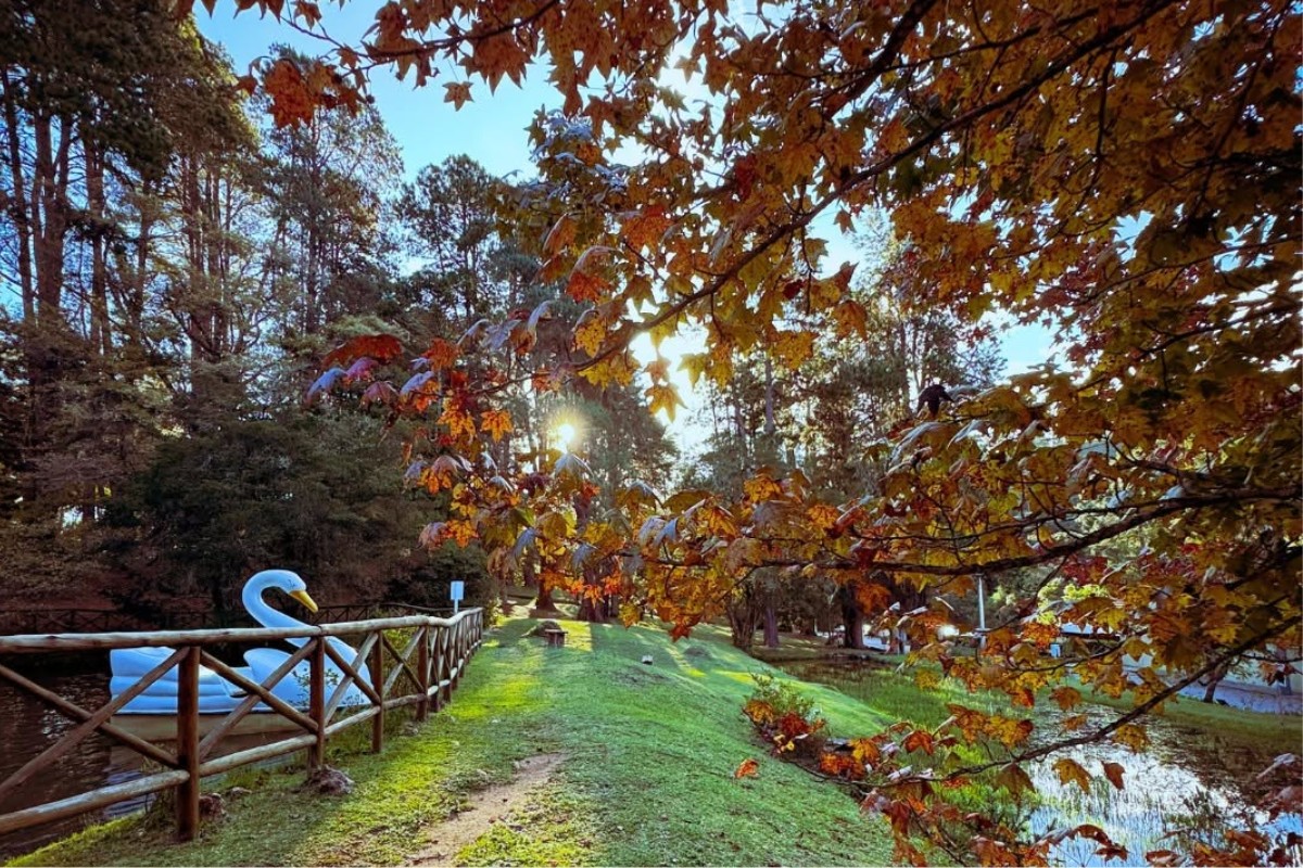Confira lista de atrações baratas ou gratuitas para curtir o inverno em Campos do Jordão