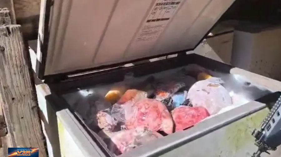Homem é preso em Jacareí após polícia encontrar 800 kg de carne imprópria e cenário de maus-tratos a animais
