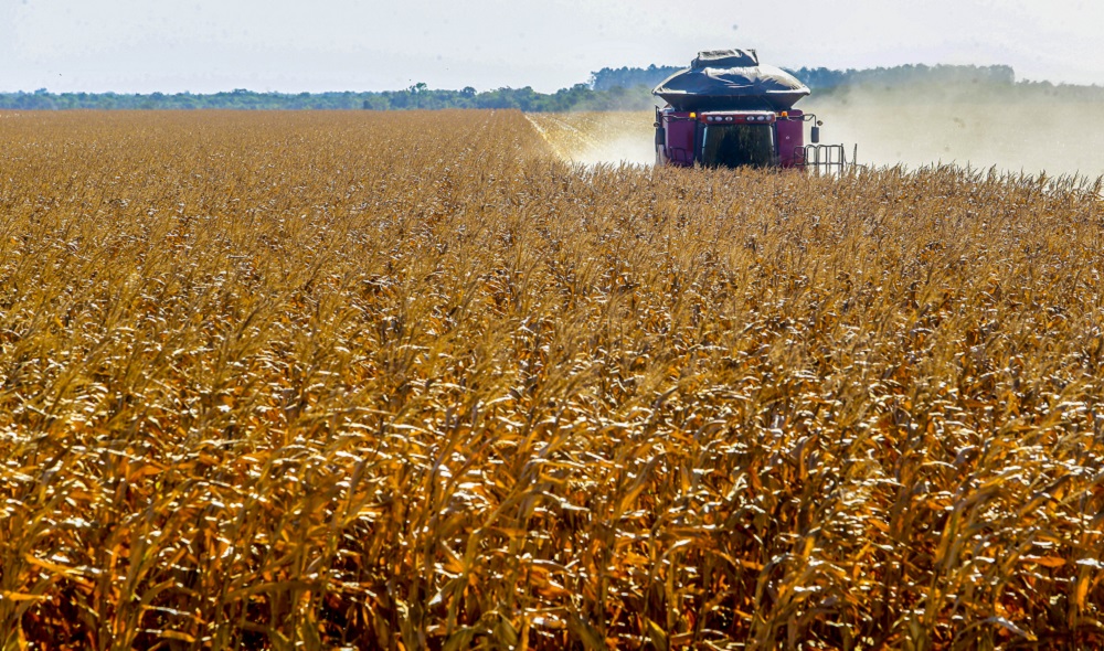 Tarifaço atingirá 36,5% das exportações do agro brasileiro, estima CNA