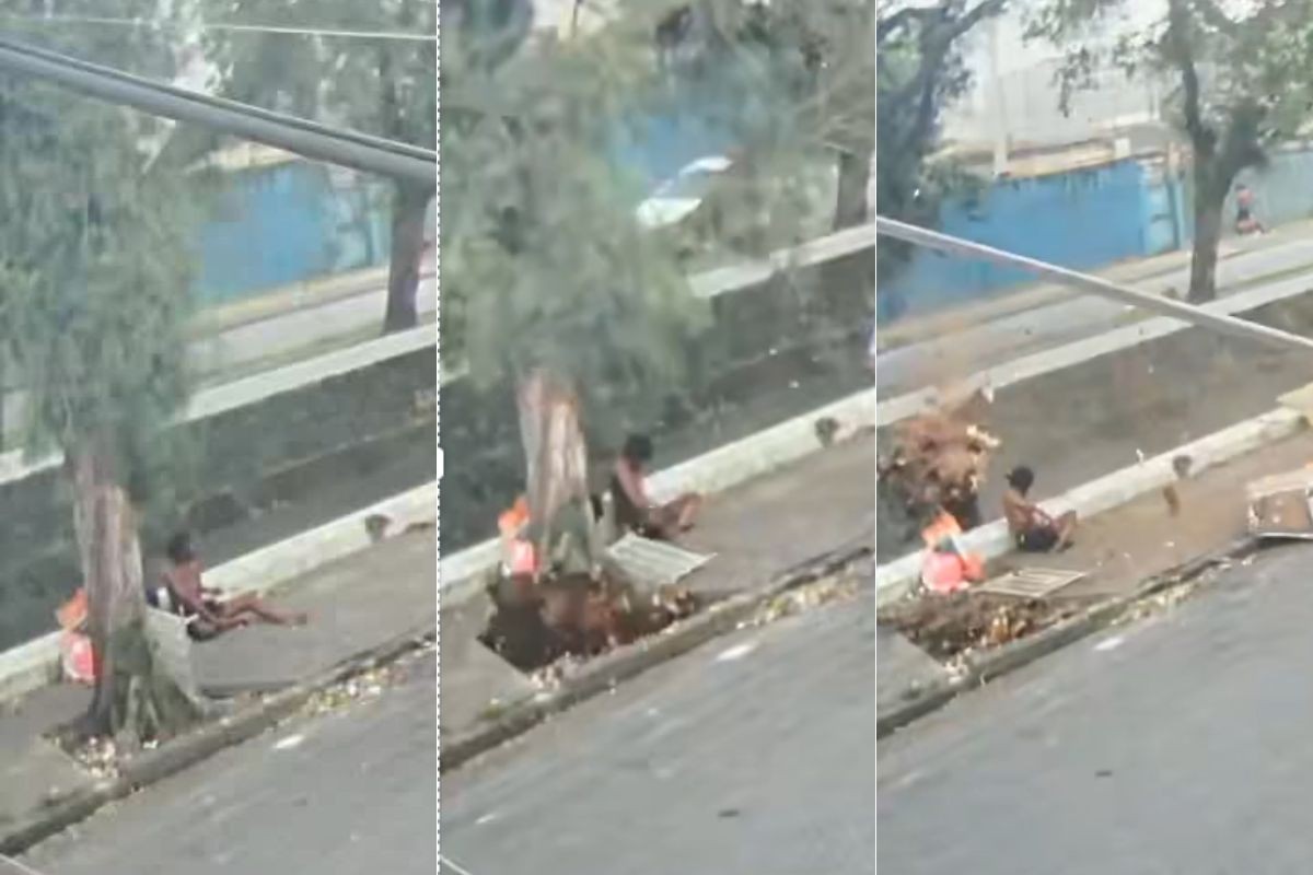 Vídeo mostra momento em que árvore cai e mata homem durante vendaval no litoral de SP