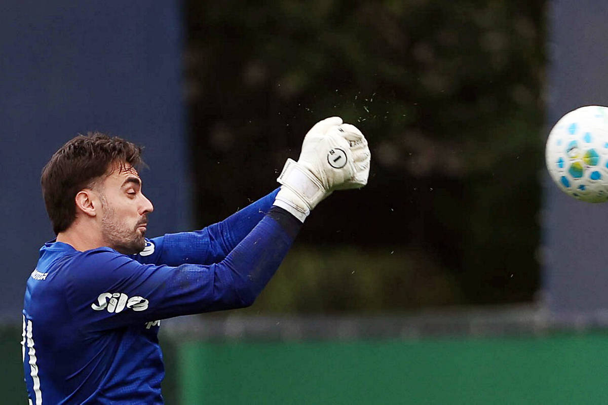 Só até o fim do ano: Palmeiras traz goleiro da Portuguesa e Tiquinho Soares volta ao Botafogo