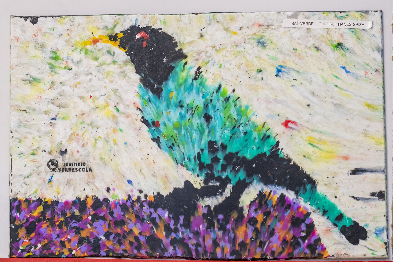 1º Festival de Observação de Aves de São Sebastião recebe ateliê de reciclagem