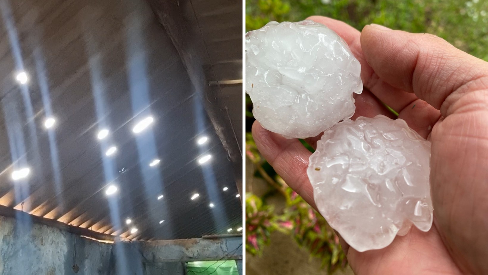 Temporal com granizo gigante destelha mais de 400 casas e destrói carros em Piracaia, SP
