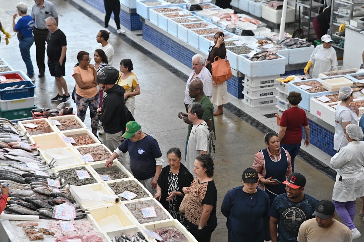 Tilápia a R$ 15,99: festival em Santos vende peixe com preço 30% menor