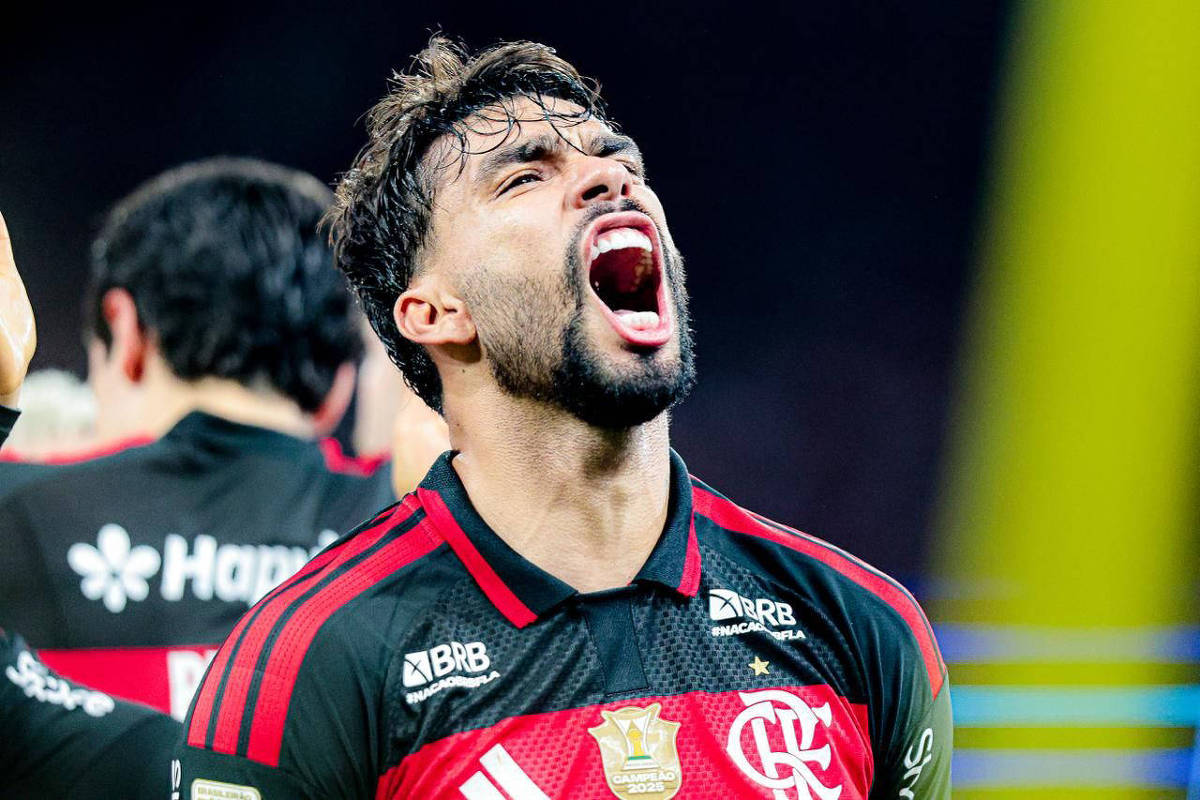 Flamengo cola de vez no Palmeiras e coloca fogo no Brasileirão; veja a situação de cada time