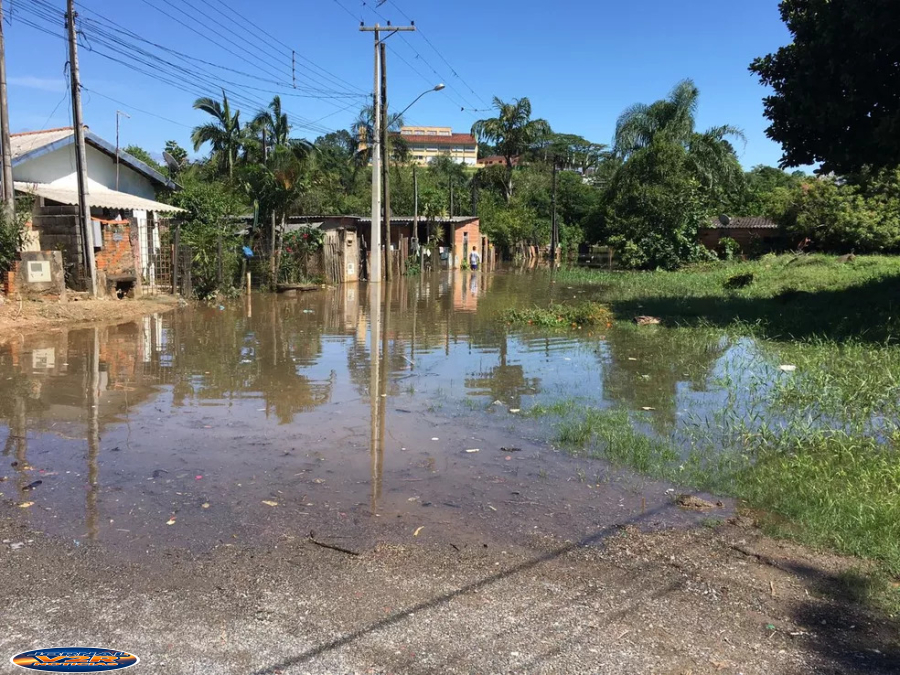 Atualizando : Vale do Ribeira permanece em alerta com rios elevados e famílias retiradas após enchentes