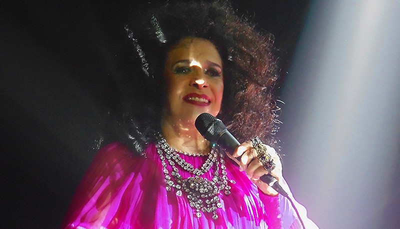 Luminosidade do cristal de Gal Costa reluz no 81º aniversário da cantora porque 'coisas sagradas permanecem'