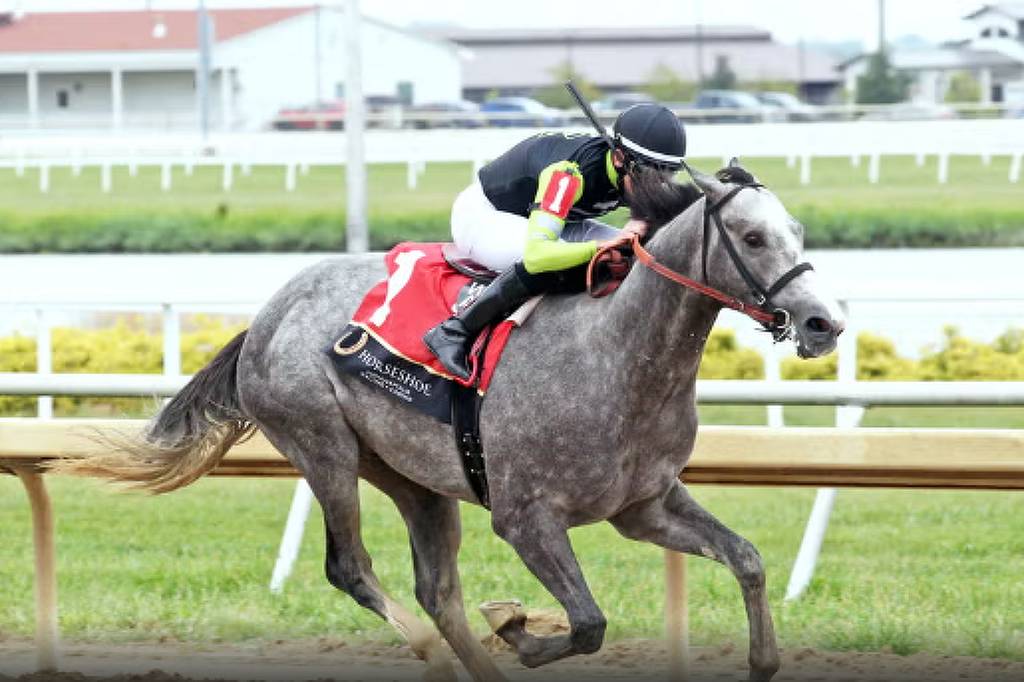 Cavalo de corrida 'Pintor Austríaco' é rebatizado após denúncia