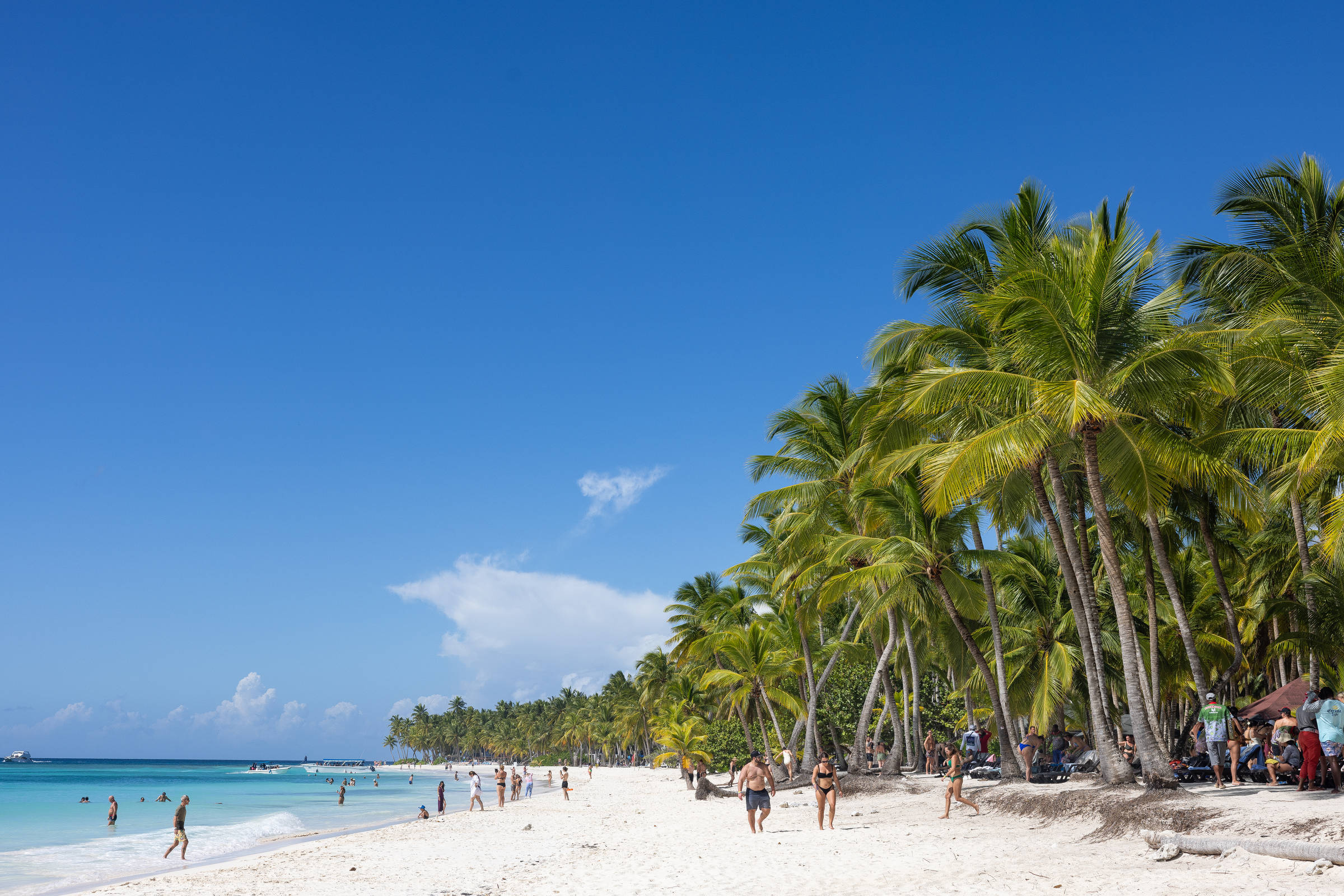 Ilha Saona, na República Dominicana, é pérola caribenha pertinho de Punta Cana