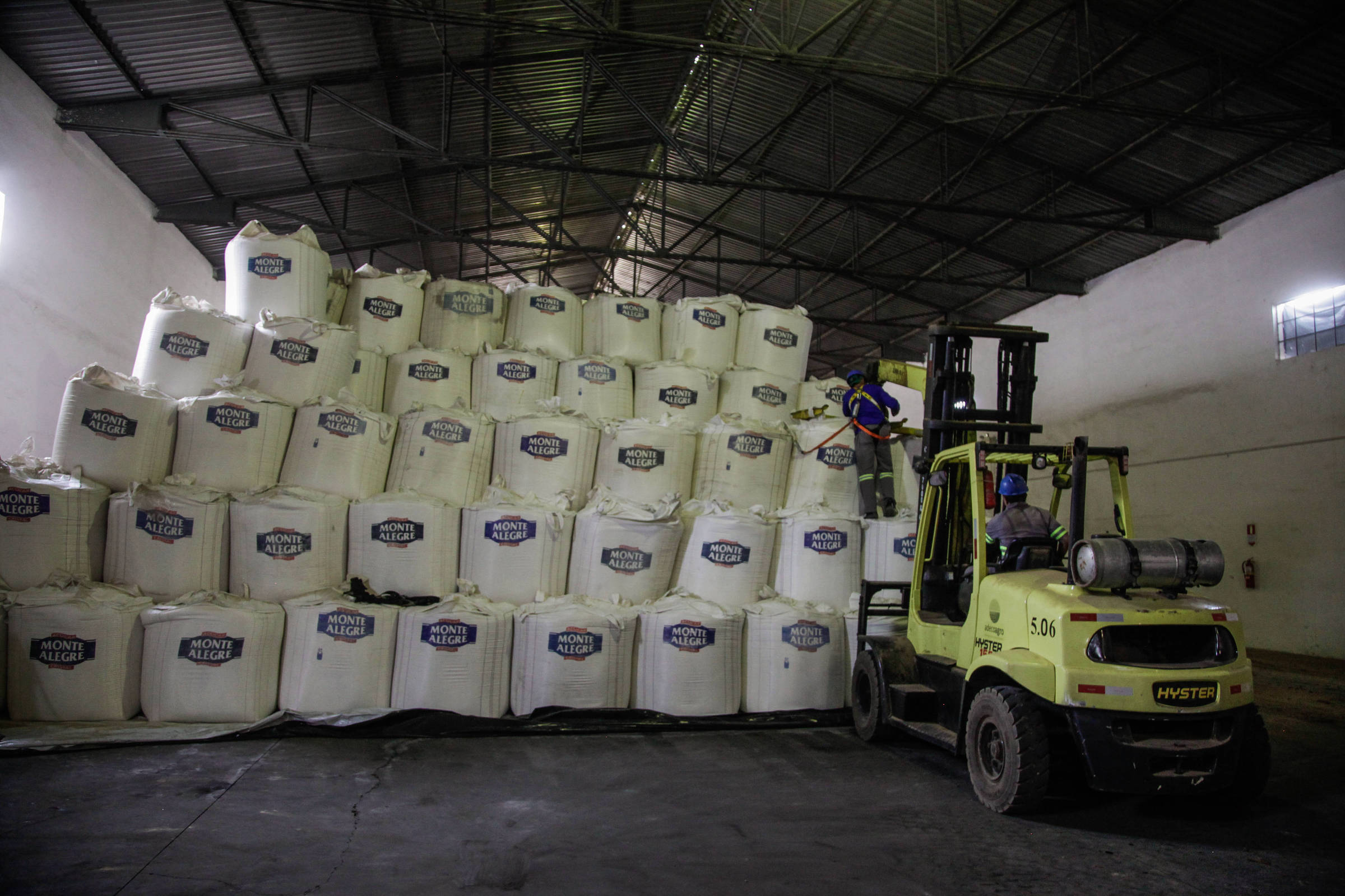 Política de Trump derruba dólar e reduz preço dos alimentos