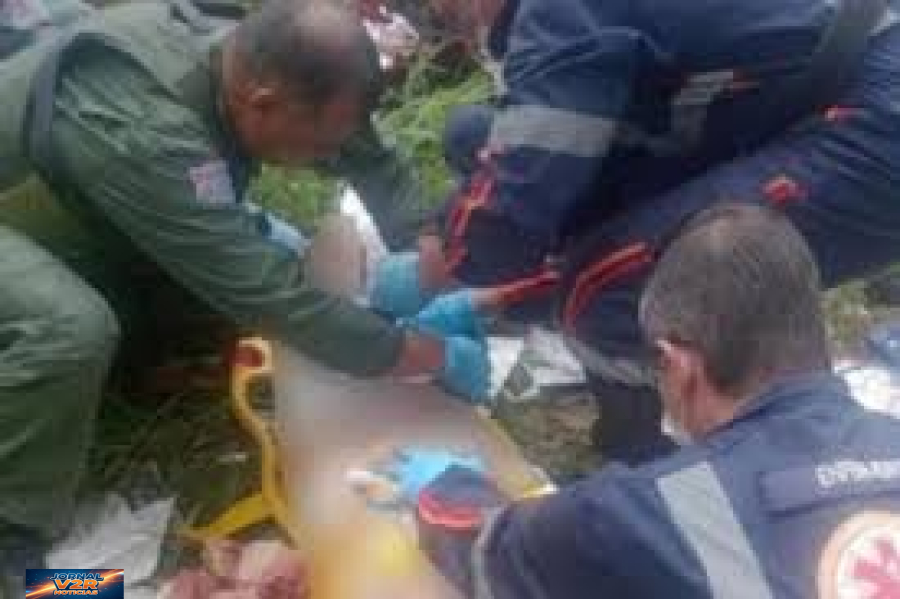 Ataque de pit bulls deixa idosa gravemente ferida e mobiliza forças de segurança em São José dos Campos