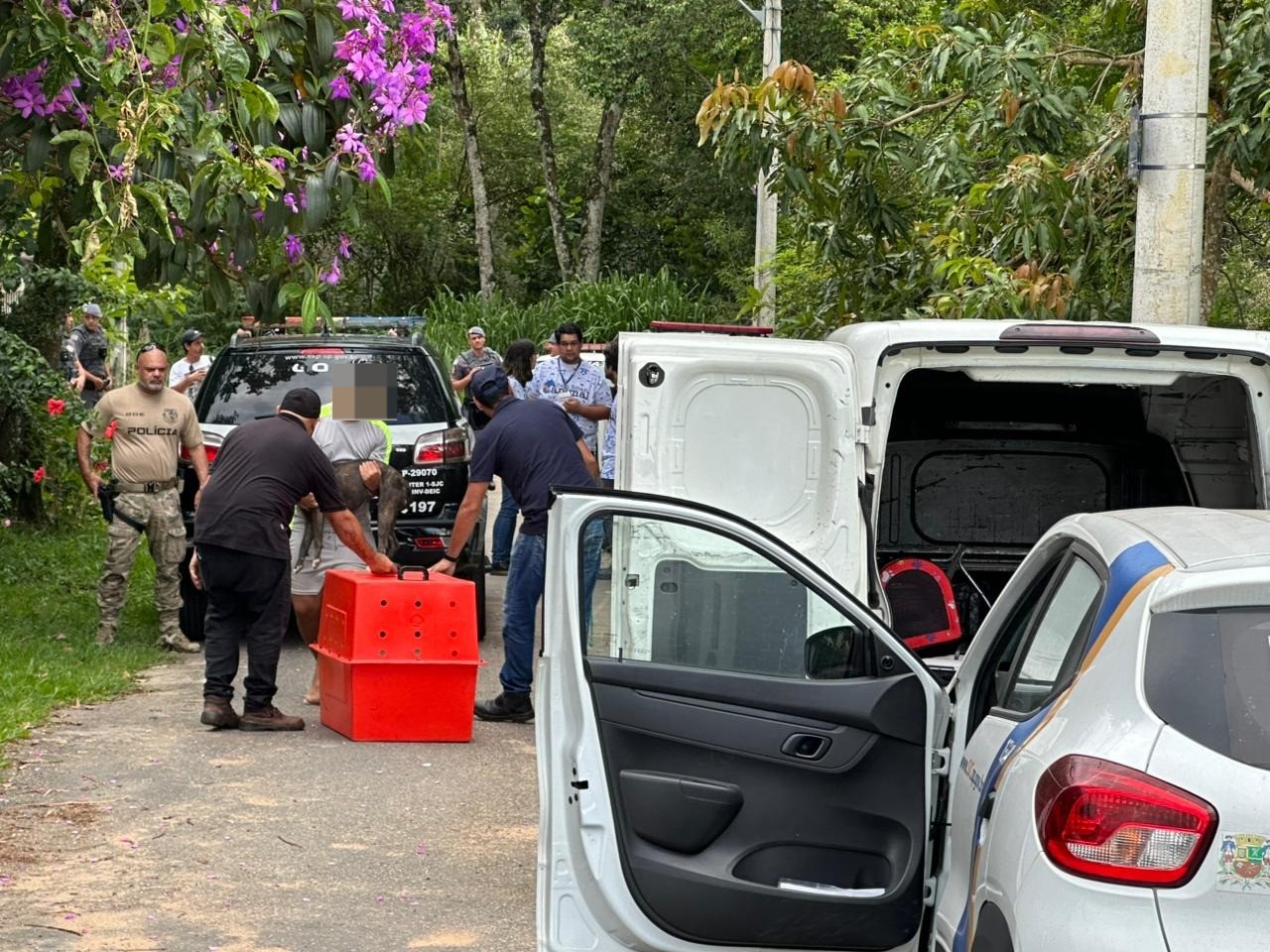 Morre mulher de 69 anos que foi atacada por cães pitbulls em São José dos Campos, SP