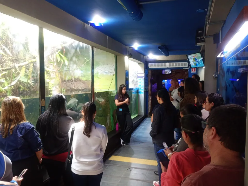 Aquário de Ubatuba lança formação gratuita em educação ambiental para professores