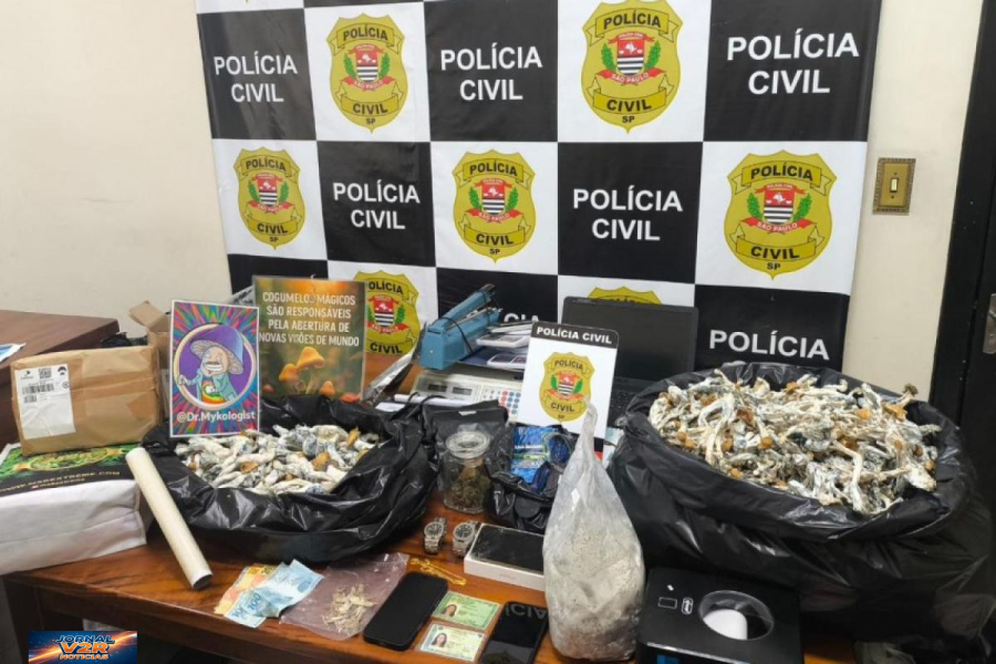 Operação “Delirium Tremens” desmonta cultivo de cogumelos alucinógenos em Ubatuba
