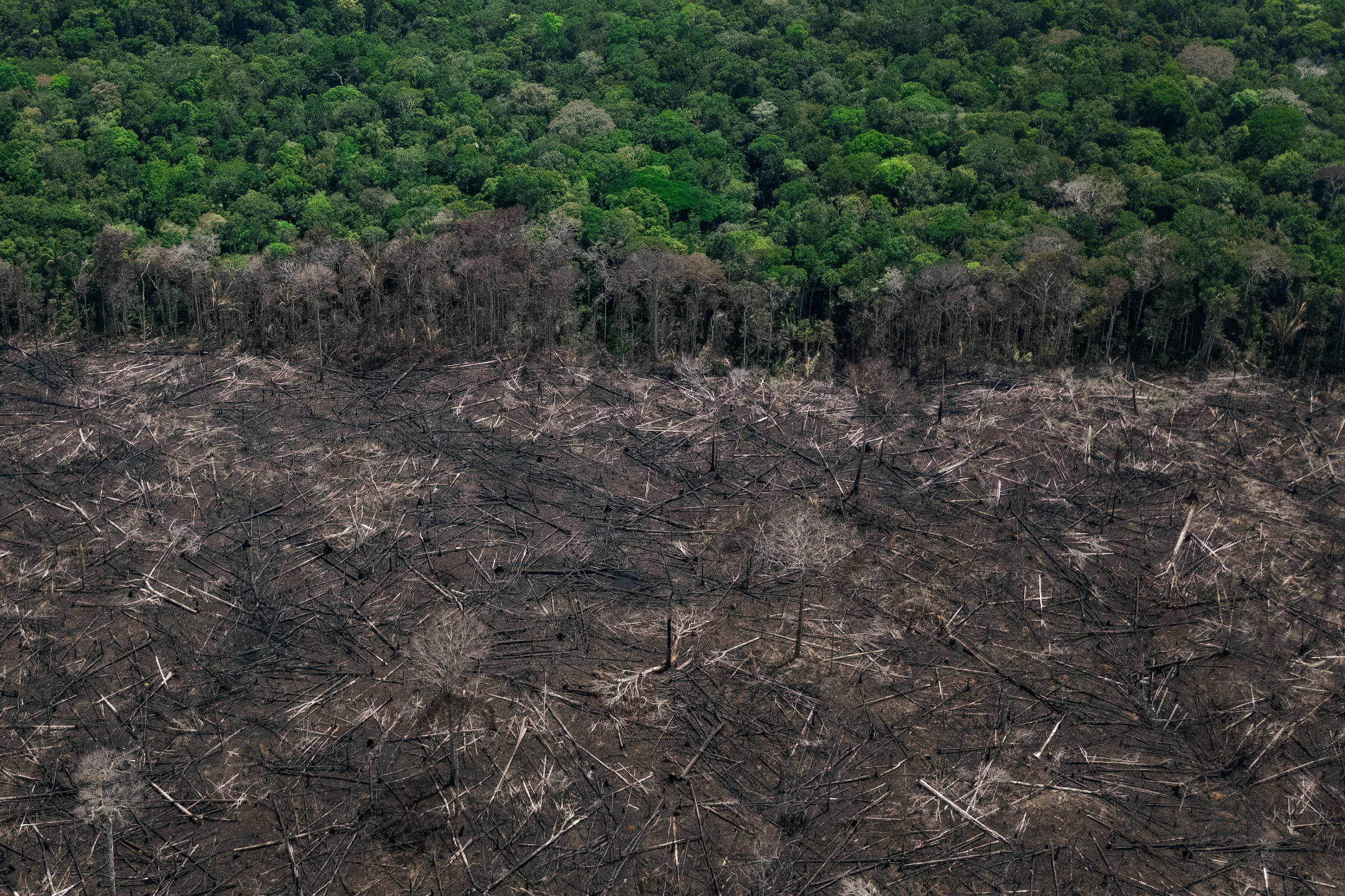 ONGs pedem que STF barre obras com emendas causadoras de desmate e invasão de terras indígenas