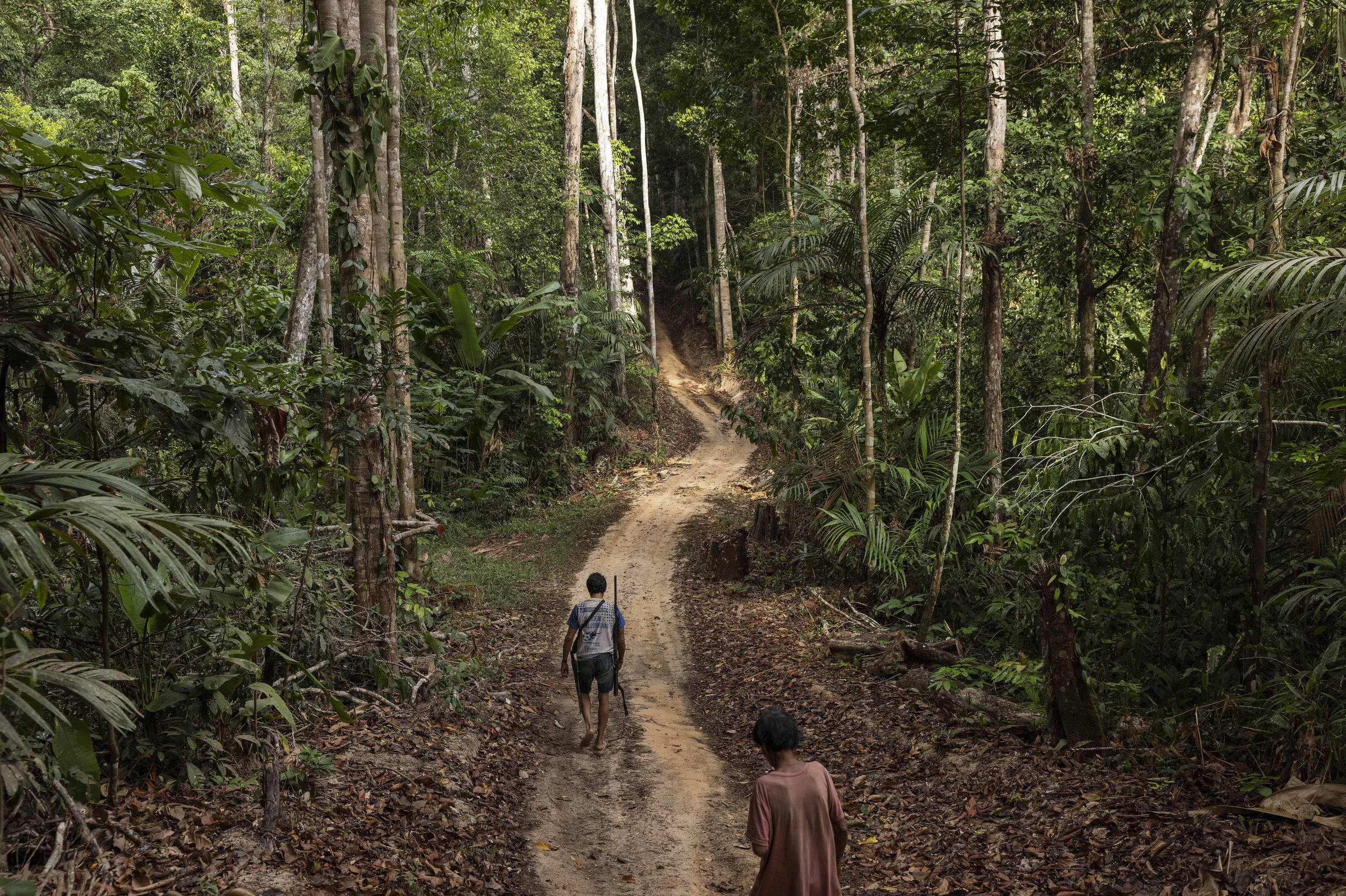 Mongabay abre inscrições para bolsa de jornalismo ambiental