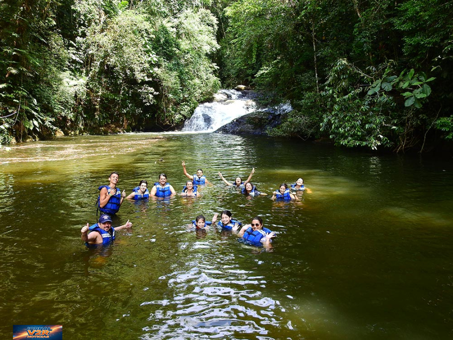 Legado das Águas: santuário da Mata Atlântica no Vale do Ribeira se destaca como destino de ecoturismo e conservação ambiental