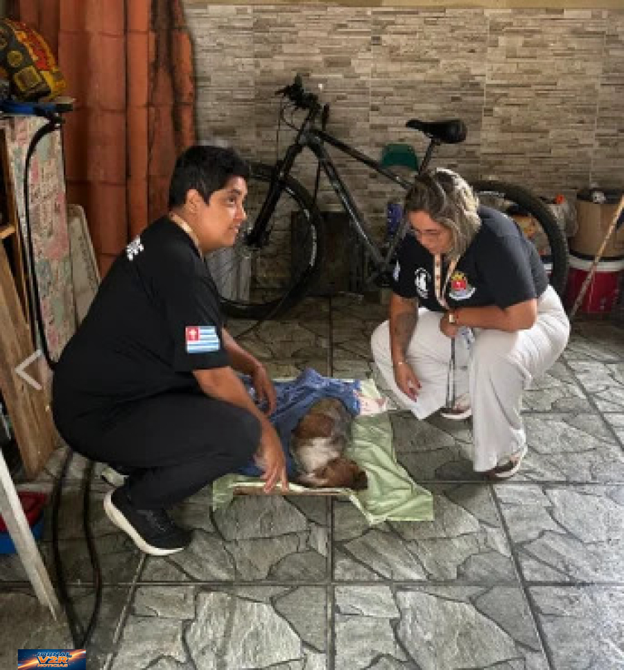 Cão em situação de maus-tratos é resgatado em Ubatuba após denúncia da população