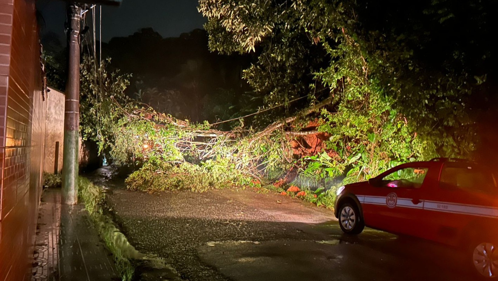 Chuva provoca quedas de árvores, de postes de energia e alaga ruas em Ubatuba, SP