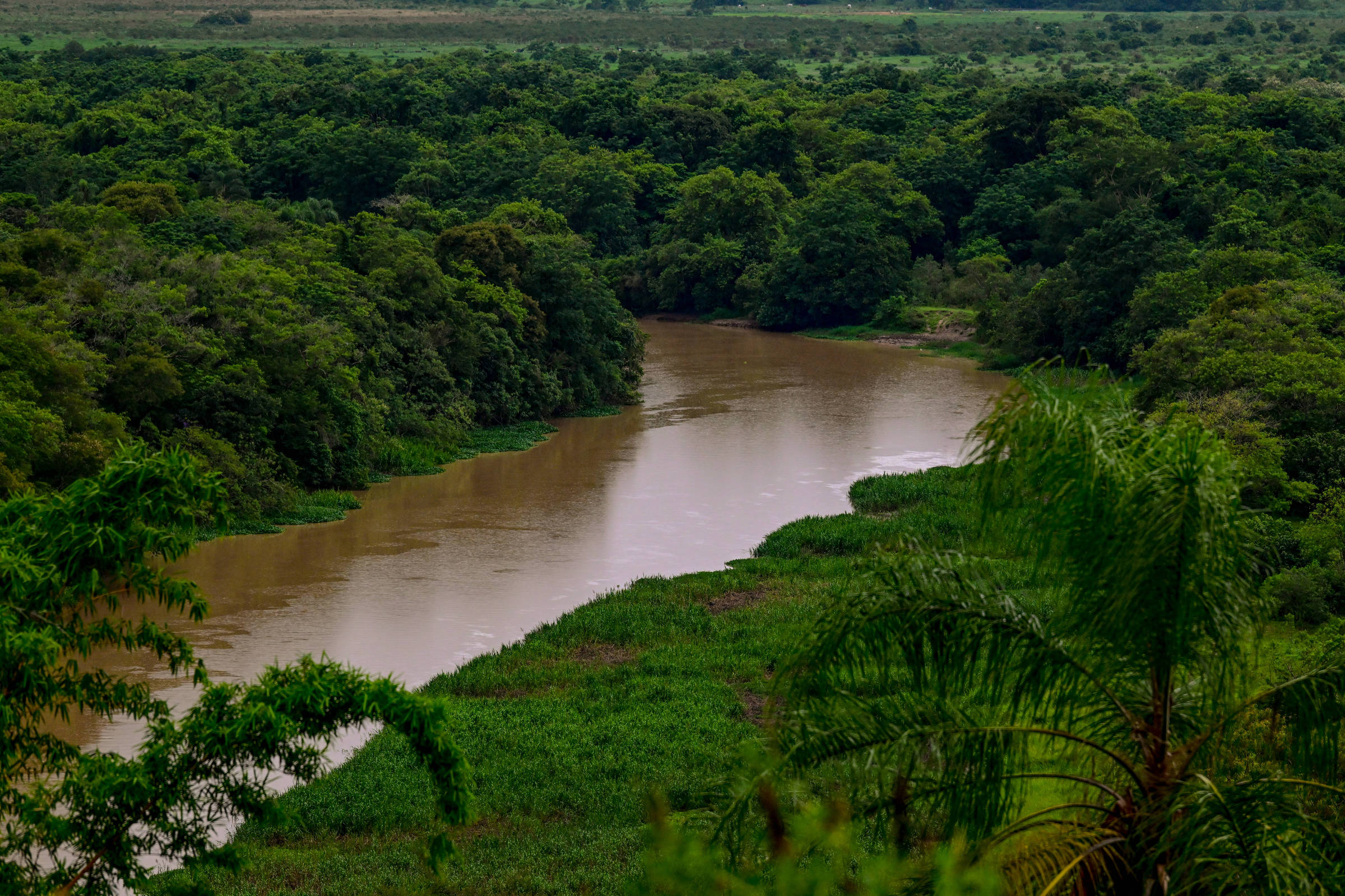 Governo de SP amplia monitoramento ambiental por satélite