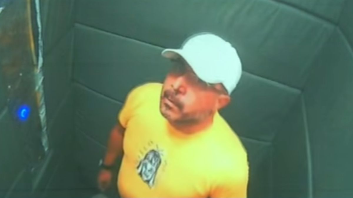 Justiça nega pedido e mantém cachorro longe de tutor após agressões em PG