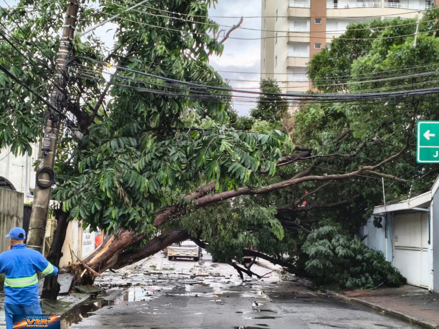 Temporal com ventos de até 90 km/h causa estragos e falta de energia em São José dos Campos