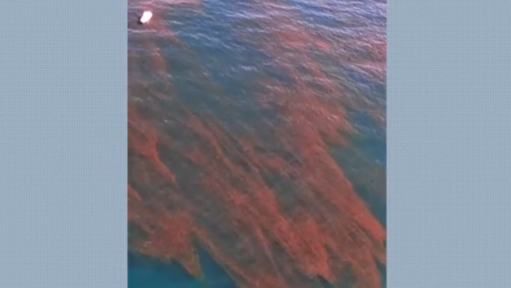 Cetesb diz que mancha vermelha no mar do litoral de SP não é tóxica, mas recomenda evitar contato com a água