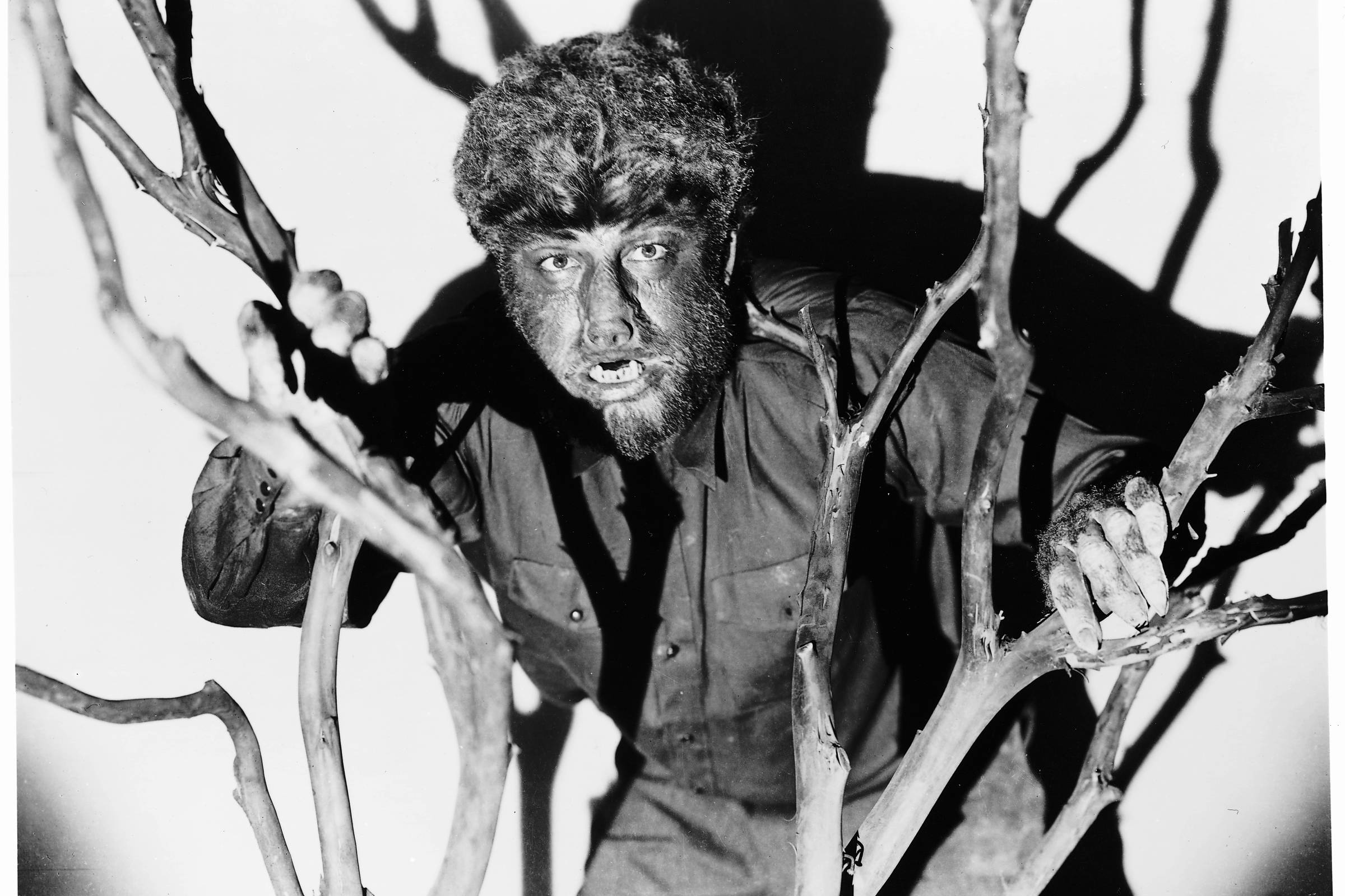 Leilão disputado por livro sobre jovem lobisomem tem Arqueiro como vencedora