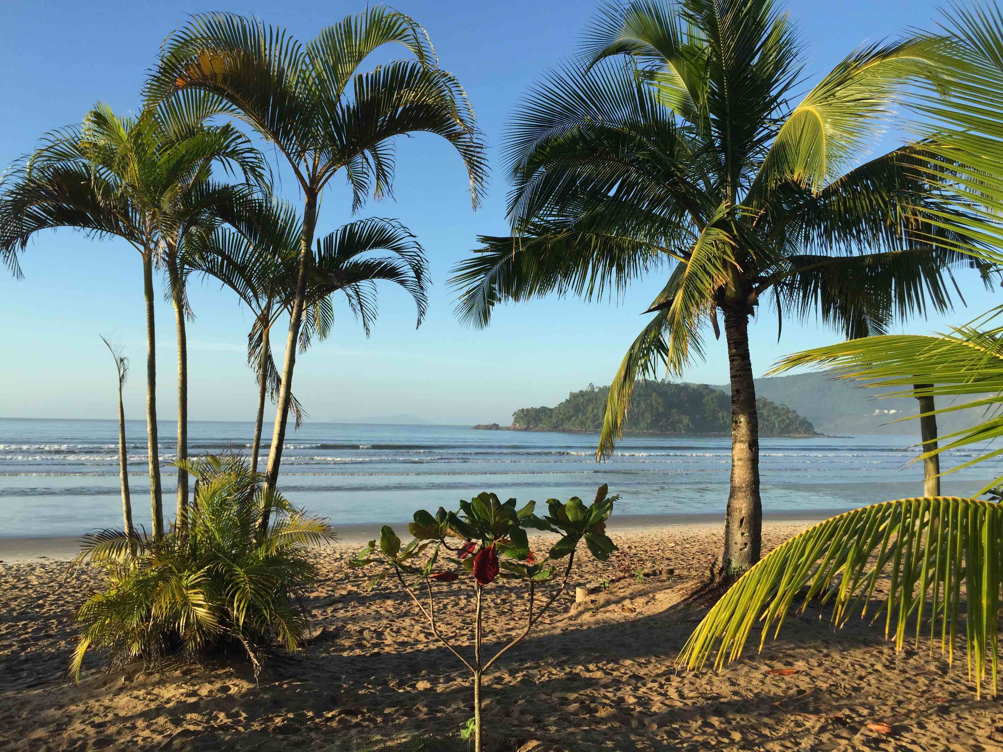 Homem de 51 anos morre após se afogar na Praia da Lagoinha, em Ubatuba