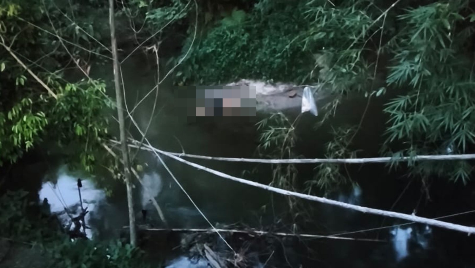 Corpo de homem é encontrado boiando às margens de rio em São Sebastião; caso é investigado como homicídio