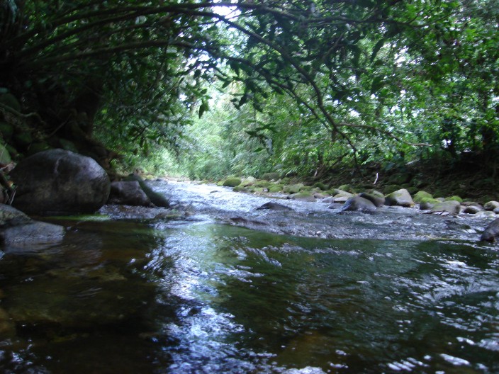 Homem é encontrado morto com sinais de execução no Rio Camburi