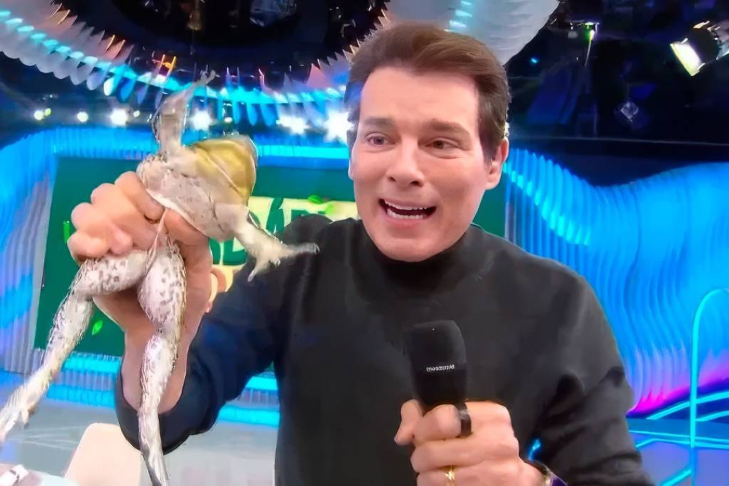 Celso Portiolli e SBT serão investigados por maus-tratos a rã no Domingo Legal