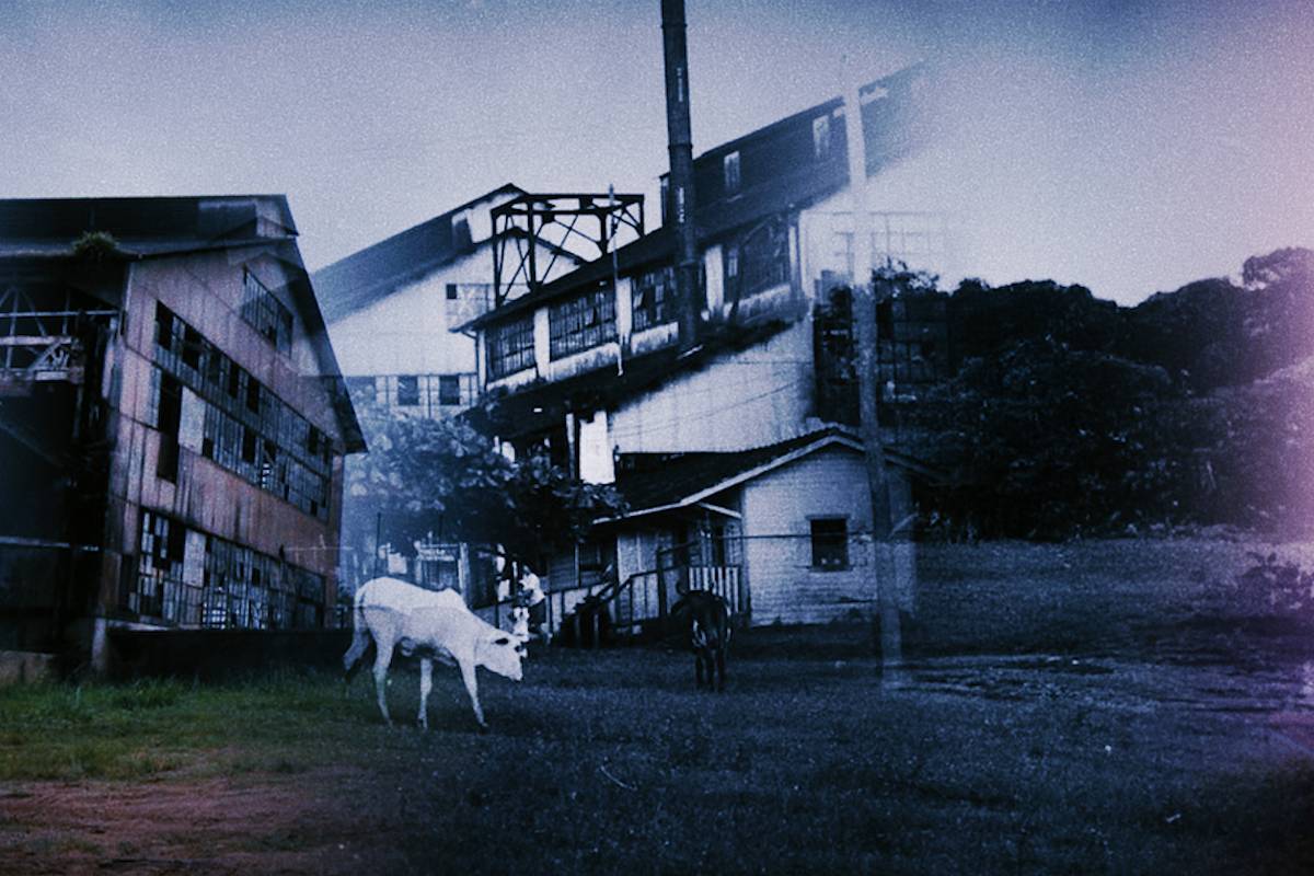 'Fordlândia Panacea' refuta o imaginário de uma cidade-fantasma