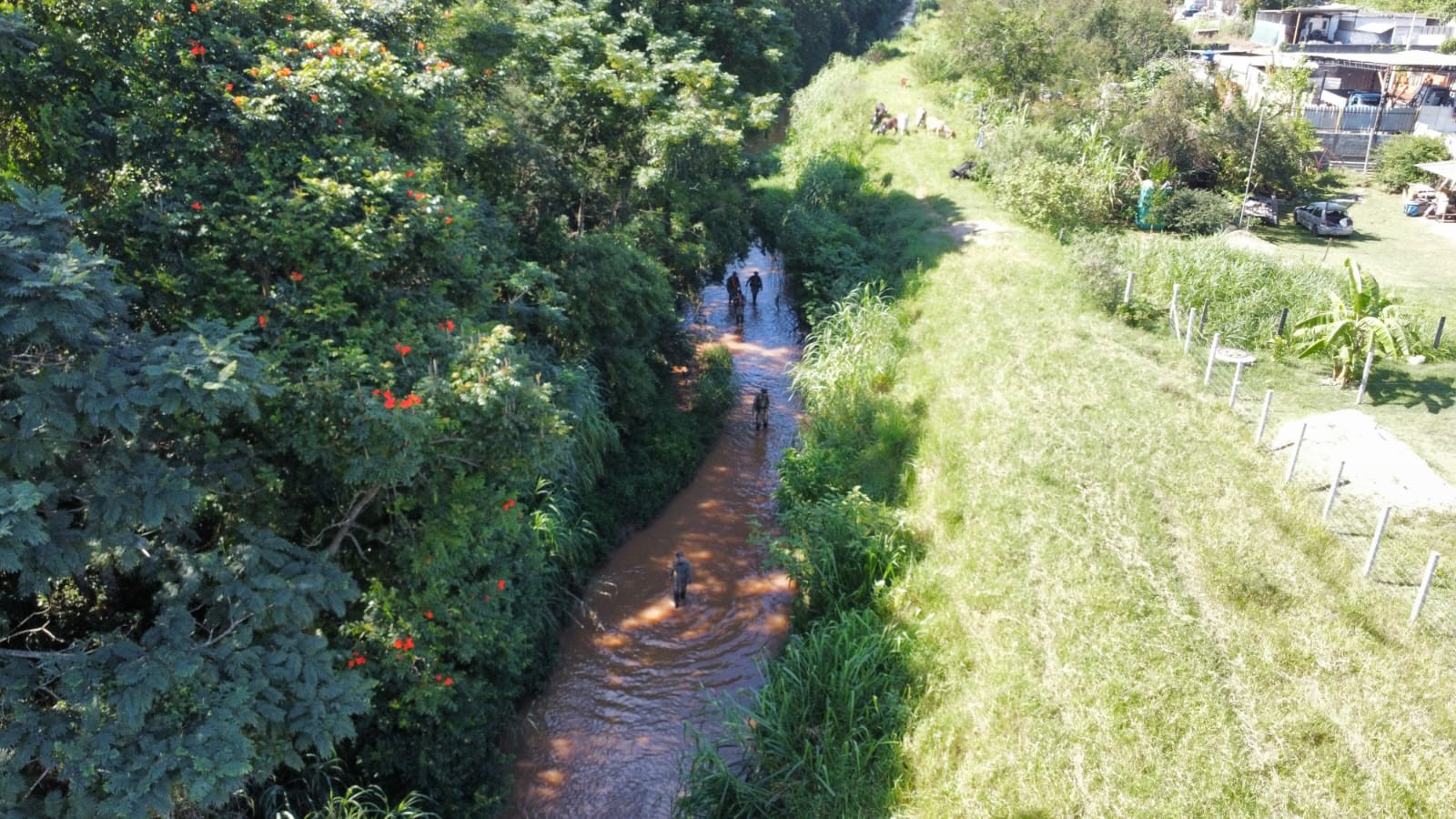 Buscas por jovem desaparecido mobilizam Polícia Civil e voluntários especializados em resgate em mata em São José dos Campos