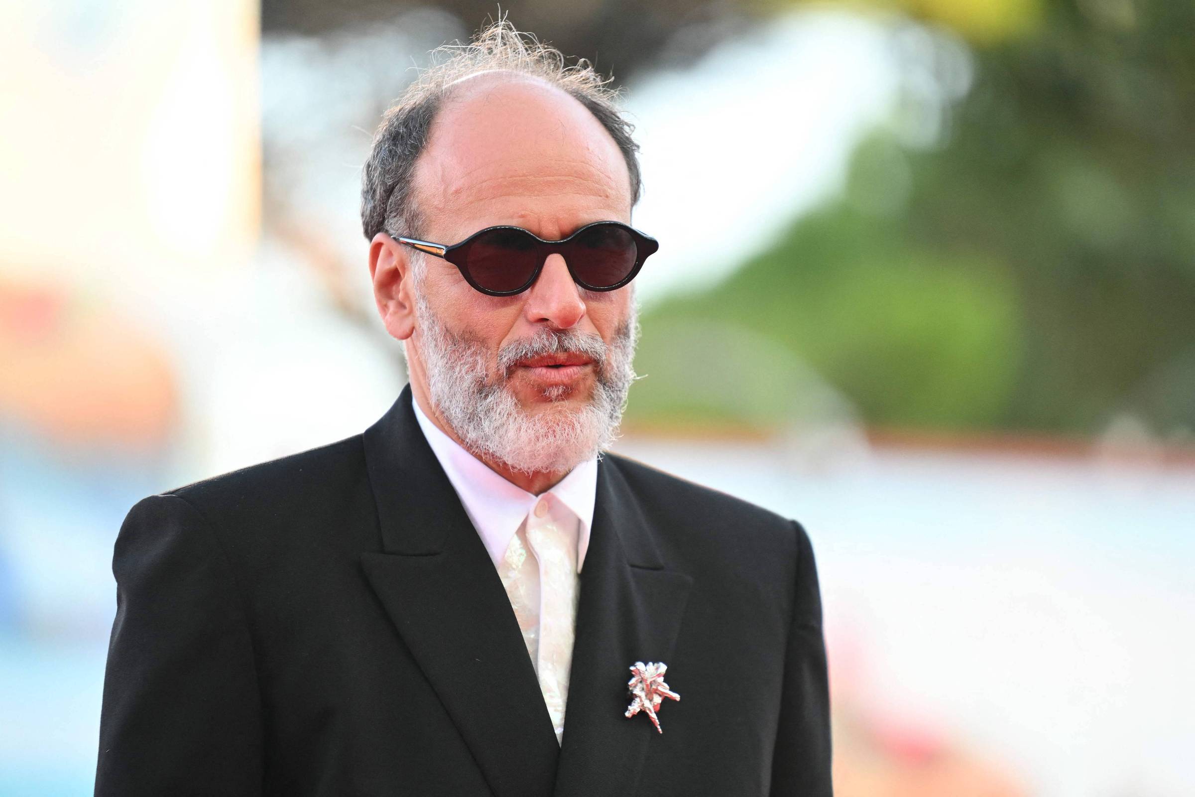 Luca Guadagnino defende Timothée Chalamet de críticas à fala sobre balé